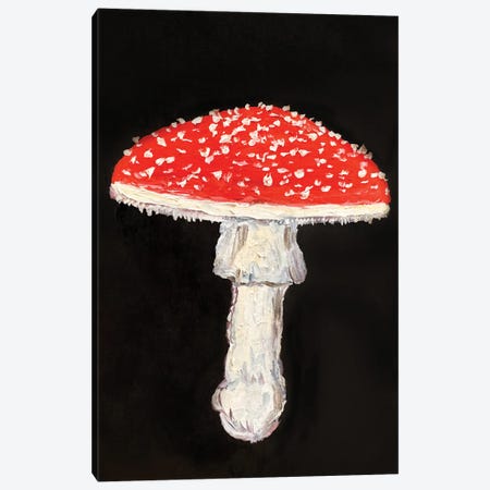 Fly Agaric Mushroom Fall Canvas Print #RKY168} by Romana Khomyn Canvas Wall Art