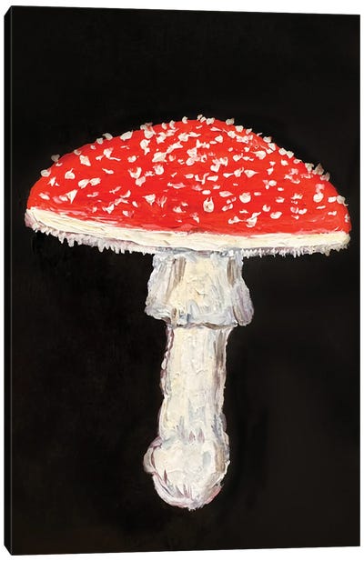 Fly Agaric Mushroom Fall Canvas Art Print - Mushroom Art