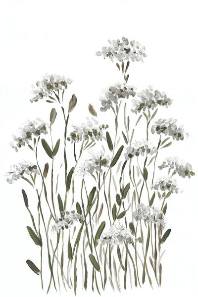 Meadow Flowers by Romana Khomyn framed wall art