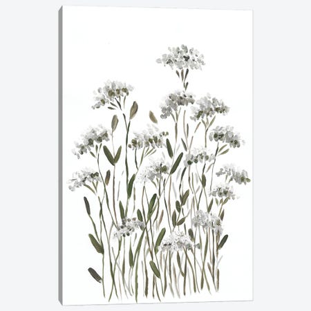 Meadow Flowers Canvas Print #RKY17} by Romana Khomyn Canvas Art Print