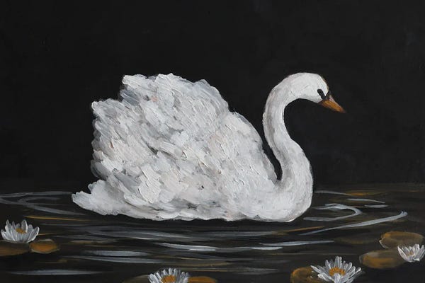 Swans: Moody Swan Bird by Romana Khomyn