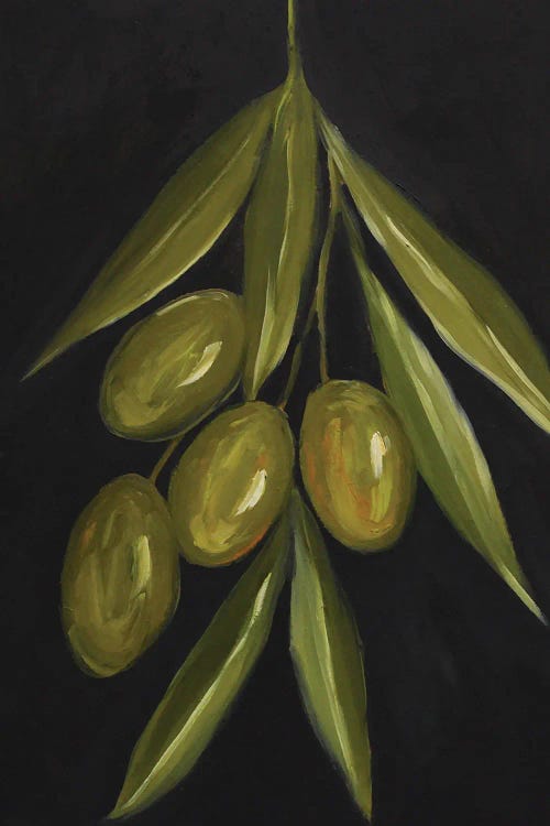 Olive Tree Branch by Romana Khomyn wall art