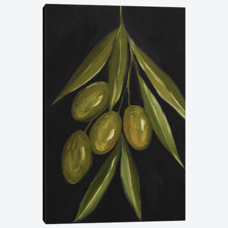 Olive Tree Branch Canvas Print #RKY184} by Romana Khomyn Canvas Print