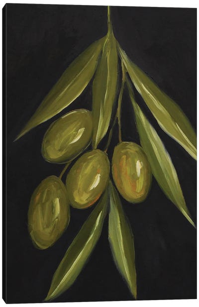 Olive Tree Branch Canvas Art Print - Romana Khomyn