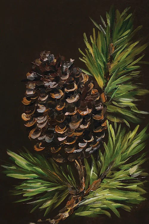 Pine Cone