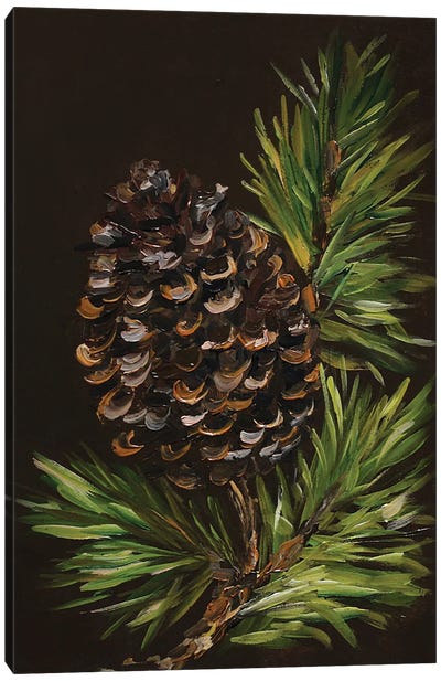 Pine Cone Canvas Art Print - Romana Khomyn