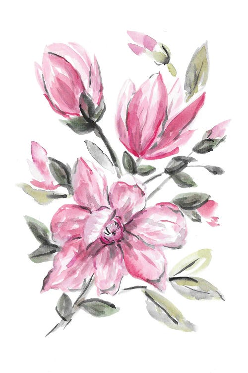 Pink Magnolia