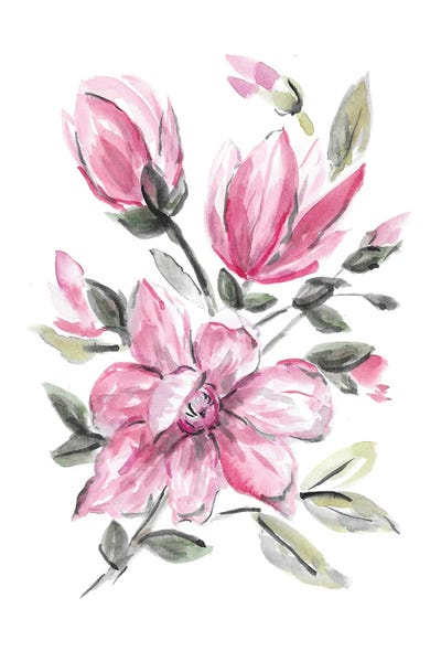 Magnolias: Pink Magnolia by Romana Khomyn