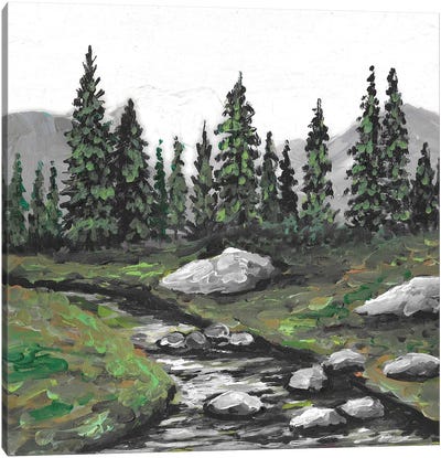 Great Smoky Mountains Canvas Art Print - Romana Khomyn