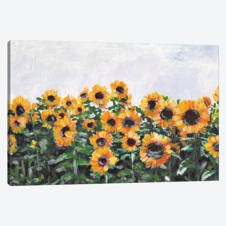 Autumn Sunflowers Canvas Print #RKY36} by Romana Khomyn Canvas Art Print