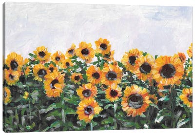 Autumn Sunflowers Canvas Art Print - Romana Khomyn