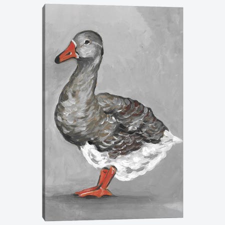 Goose Canvas Print #RKY38} by Romana Khomyn Canvas Art
