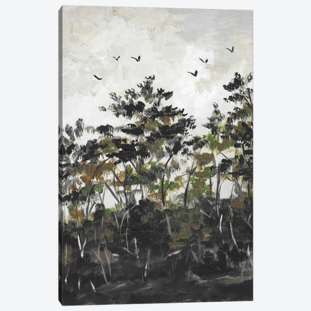 Forest Landscape Clouds Canvas Print #RKY39} by Romana Khomyn Canvas Artwork