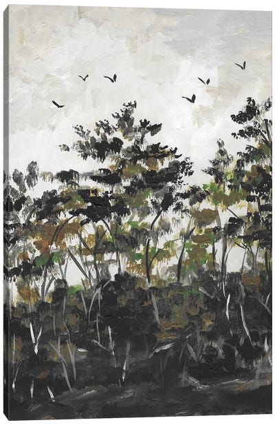 Forest Landscape Clouds Canvas Art Print - Romana Khomyn