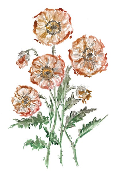 Romana Khomyn: Orange Poppies by Romana Khomyn