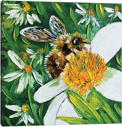 Bee Canvas Art Print - Daisy Art