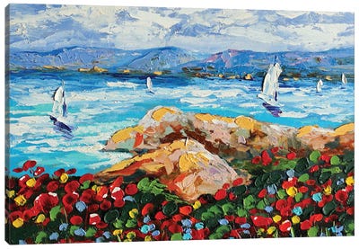 Big Sur Canvas Art Print - Romana Khomyn