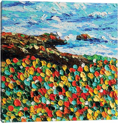 California Poppy II Canvas Art Print - Romana Khomyn