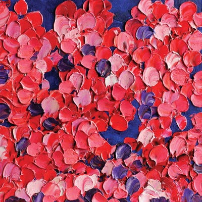 Cherry Blossom by Romana Khomyn framed wall art