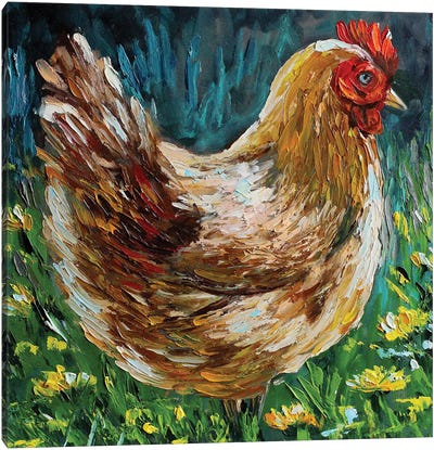 Chicken Canvas Art Print - Romana Khomyn