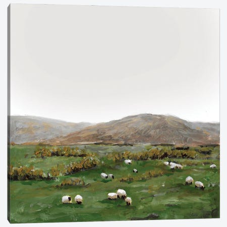 Sheep Grazing Canvas Print #RKY5} by Romana Khomyn Canvas Art Print