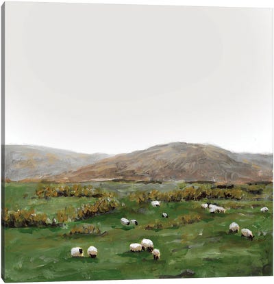 Sheep Grazing Canvas Art Print - Romana Khomyn