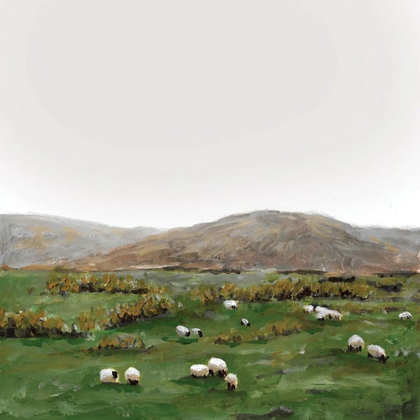 Sheep: Sheep Grazing by Romana Khomyn