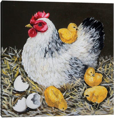 Hen Canvas Art Print - Chicken & Rooster Art