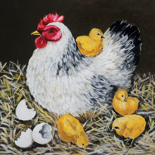 Chickens & Roosters: Hen by Romana Khomyn