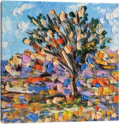Joshua Tree Canvas Art Print - Romana Khomyn