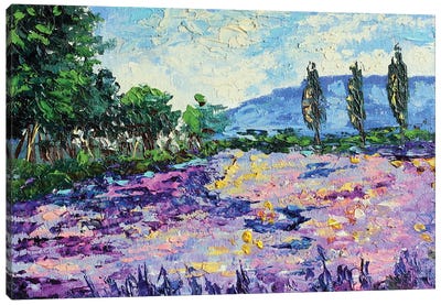 Lavender. Field Provence Canvas Art Print - Romana Khomyn