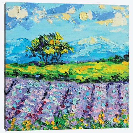 Lavender Field Canvas Print #RKY69} by Romana Khomyn Canvas Art Print