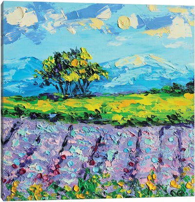 Lavender Field Canvas Art Print - Romana Khomyn
