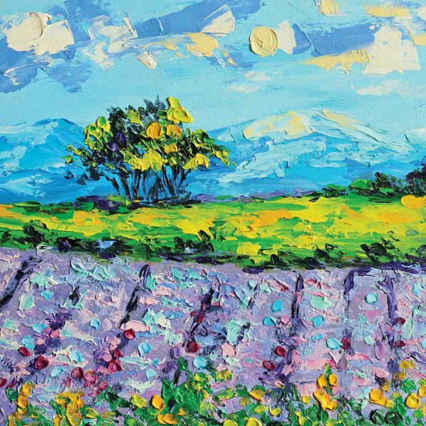 Herbs: Lavender Field by Romana Khomyn