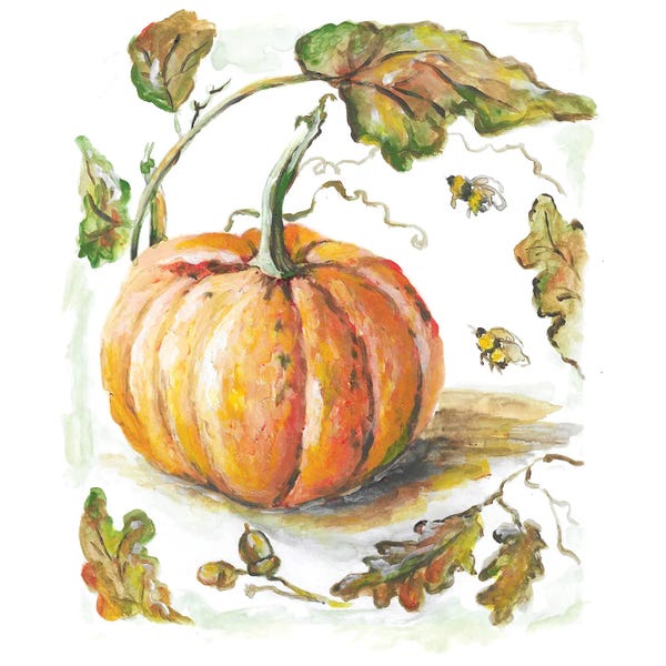 Romana Khomyn: Orange Pumpkin by Romana Khomyn