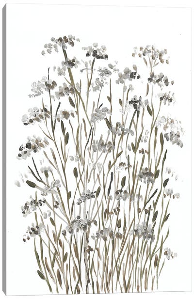 Wildflowers Canvas Art Print - Romana Khomyn