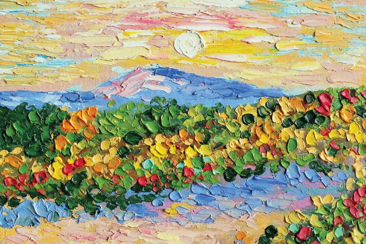 Sedona II by Romana Khomyn wall art