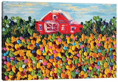Sunflowers Field Canvas Art Print - Romana Khomyn