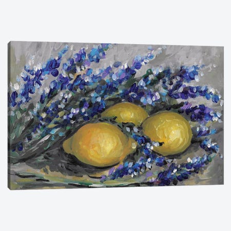 Lavender Lemon Canvas Print #RKY91} by Romana Khomyn Canvas Wall Art