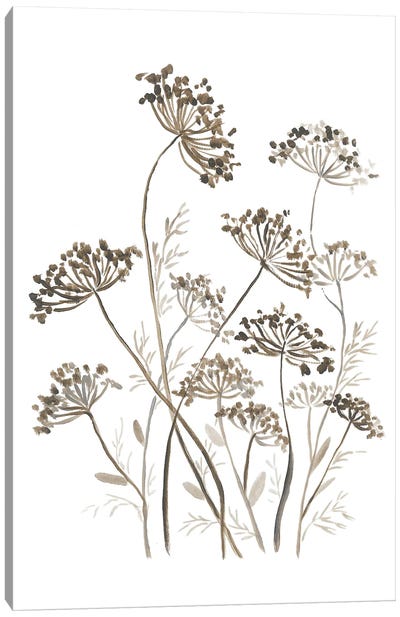Botanical Canvas Art Print - Romana Khomyn
