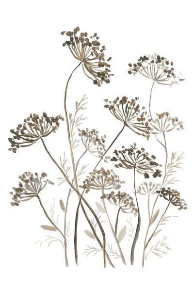 Black & White Florals: Botanical by Romana Khomyn