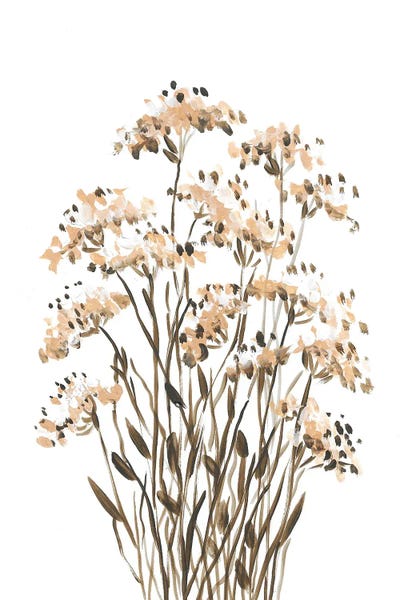 Black & White Florals: Wildflowers II by Romana Khomyn