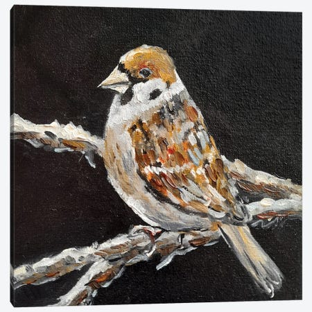Sparrow Canvas Print #RKY95} by Romana Khomyn Art Print