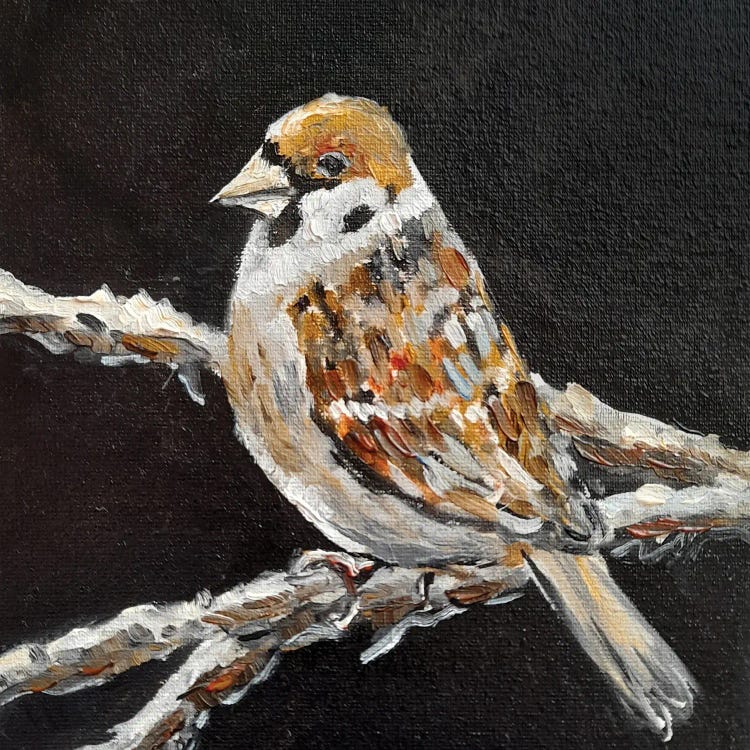 Sparrow by Romana Khomyn wall art