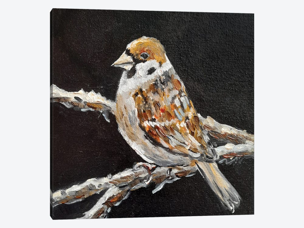 Sparrow by Romana Khomyn 1-piece Art Print