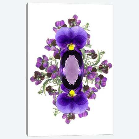 Flowers And Stones - February Canvas Print #RLA15} by RococcoLA Canvas Art