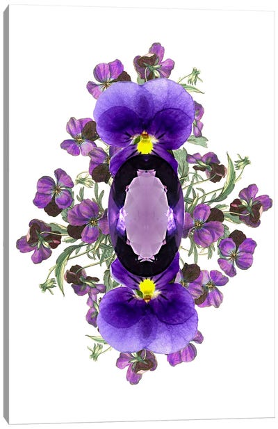 Flowers And Stones - February Canvas Art Print - Violet Art