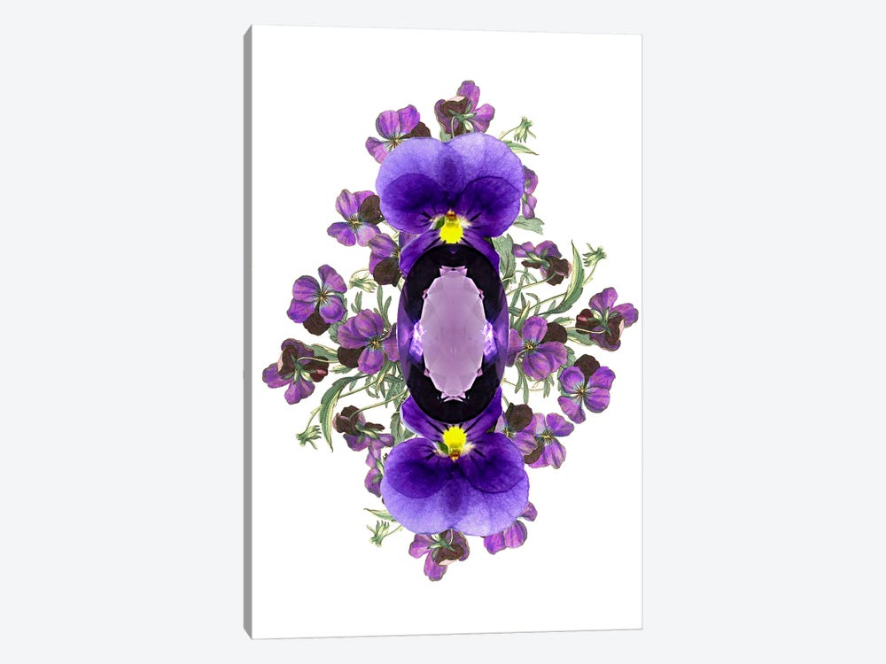 Flowers And Stones - February by RococcoLA 1-piece Canvas Print