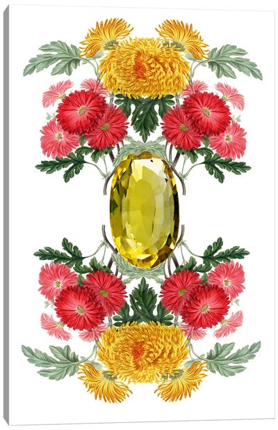 Flowers And Stones - November Canvas Art Print - Chrysanthemum Art