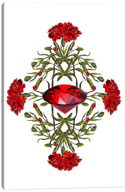 Flowers And Stones - January Canvas Art Print - Carnation Art